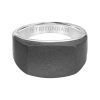 RAW Tungsten/Silver Signet - Image 2